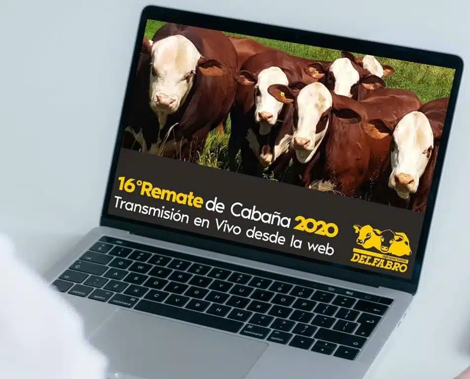 La transformación digital de Delfabro: Remate Anual via streaming