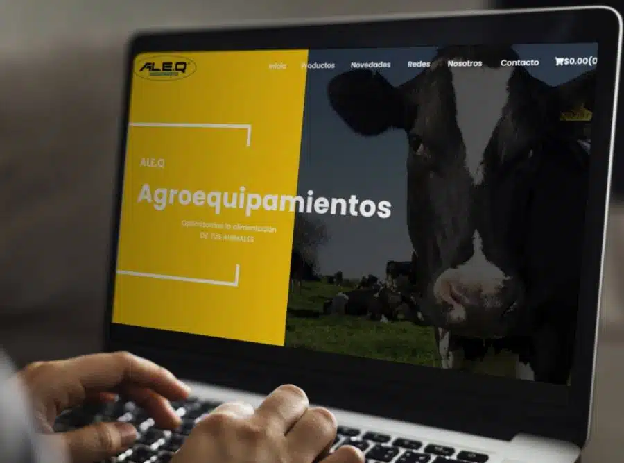 Desarrollo web ALEQ