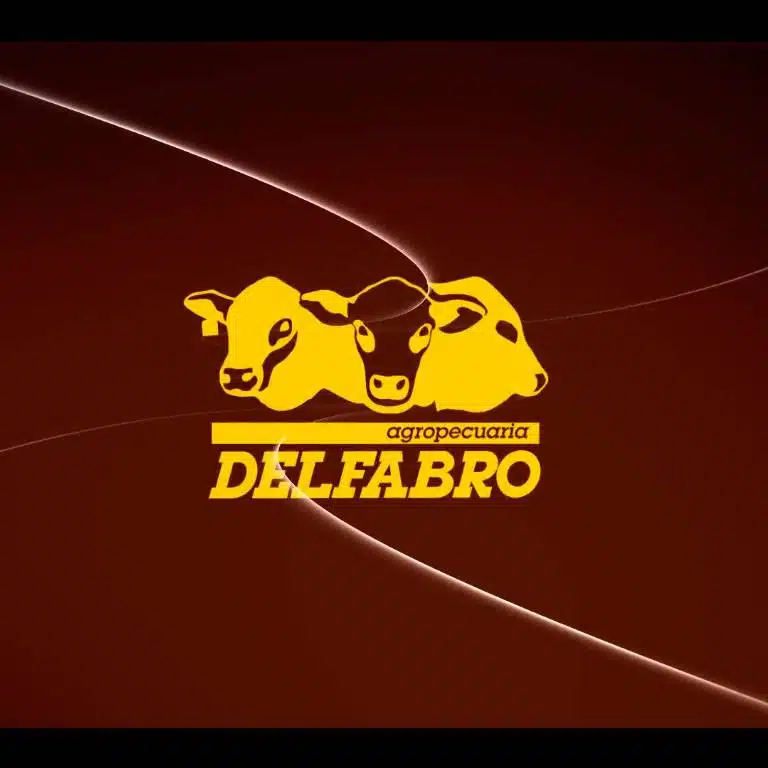Delfabro – Fin de Año