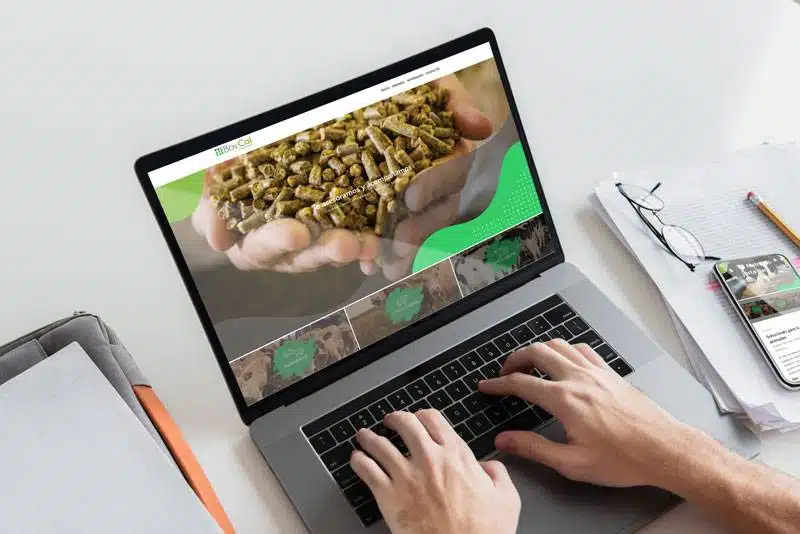 Nuevo desarrollo de marca para la firma BovCal
