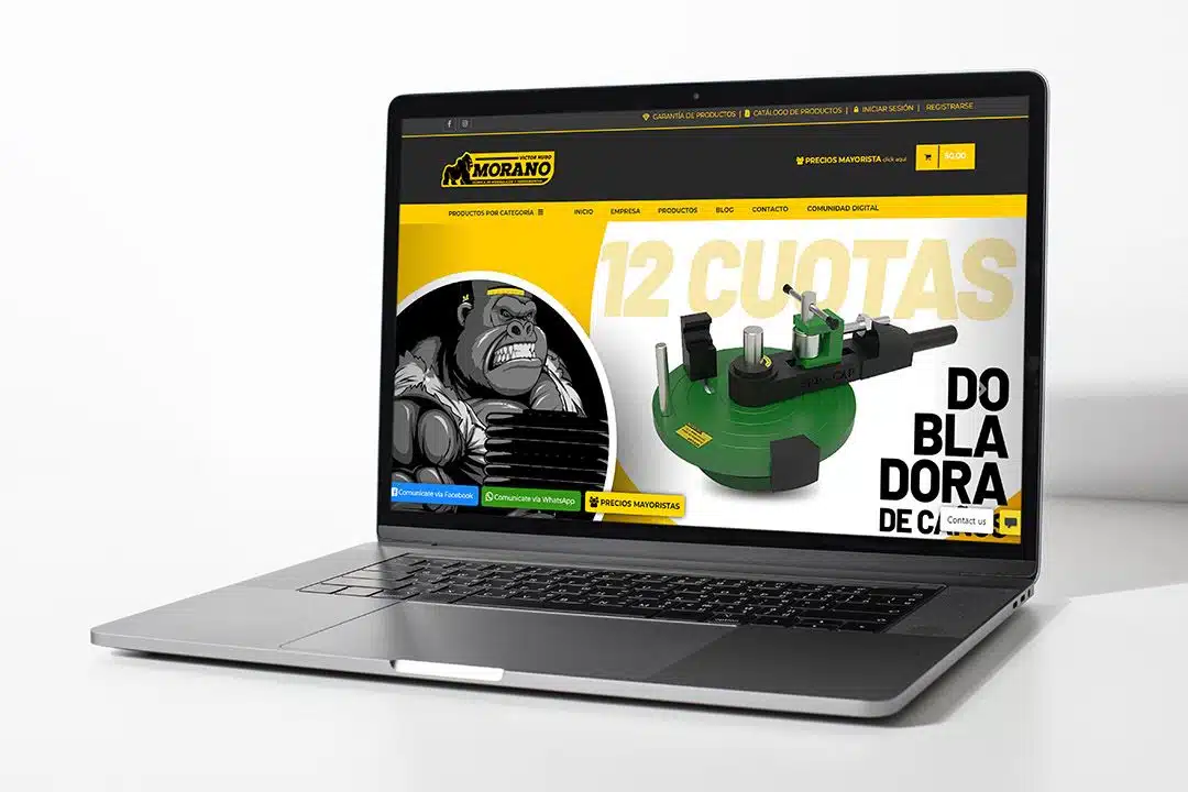 Campaña de Google Ads para Morano