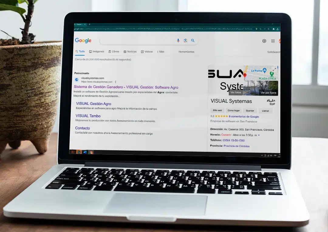 Campaña de Google Ads que Impulsa el Éxito para Visual Systemas