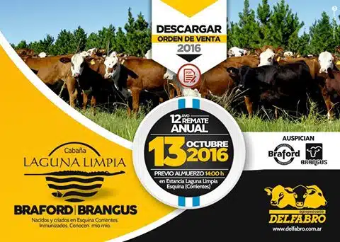 Agropecuaria Delfabro organiza su tradicional remate y nuestra consultora realiza su comunicación