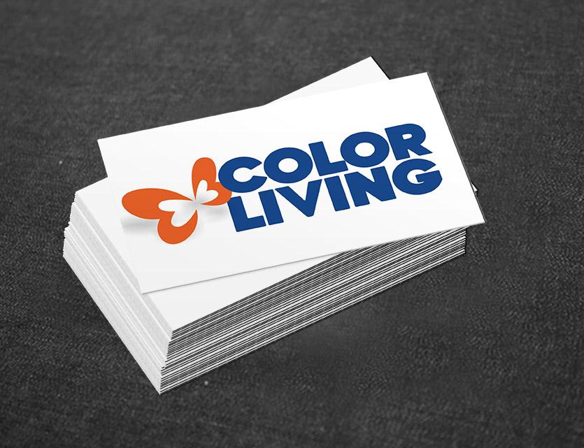 Marketing y Comunicación para Color Living