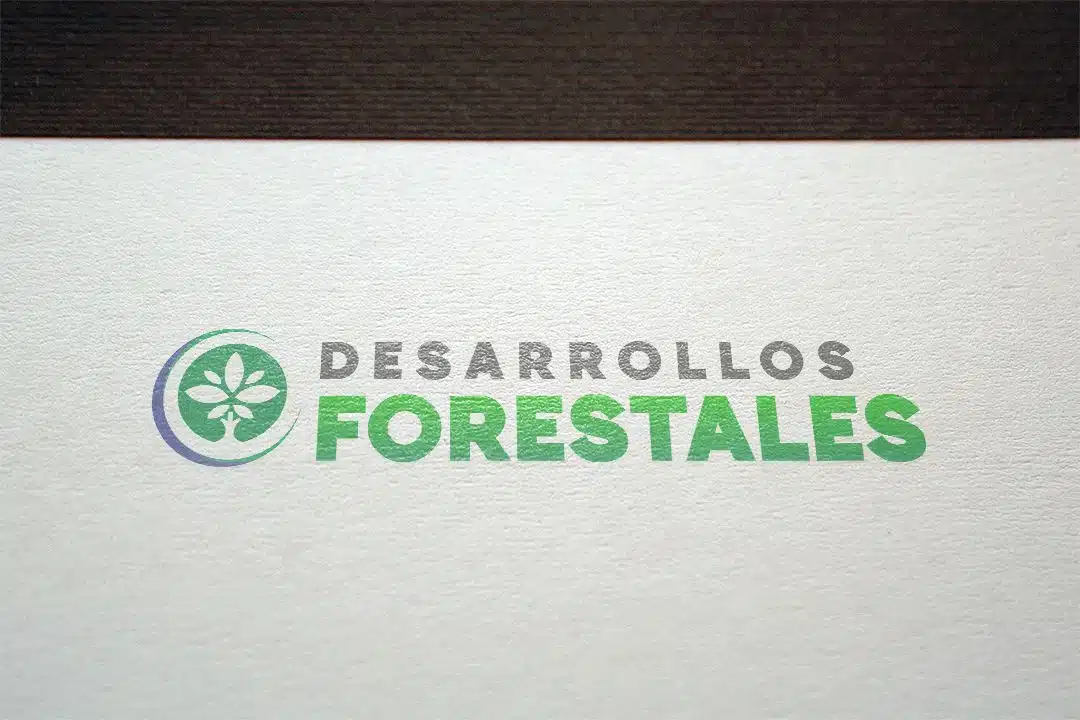 Nuevo diseño de marca para Desarrollos Forestales